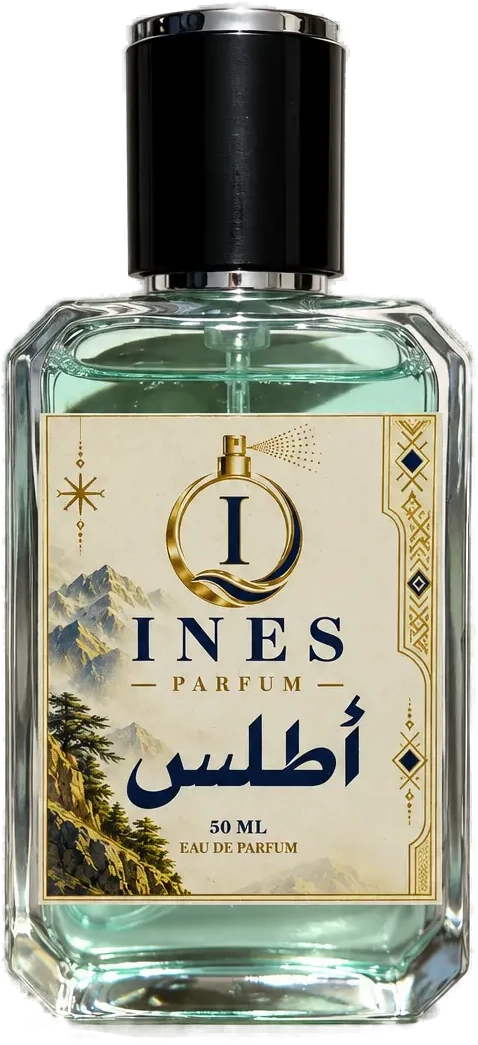 أطلس